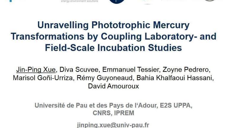 Unravelling Phototrophic Mercury Transformations by Coupling Laboratory- and Field-Scale Incubation Studies